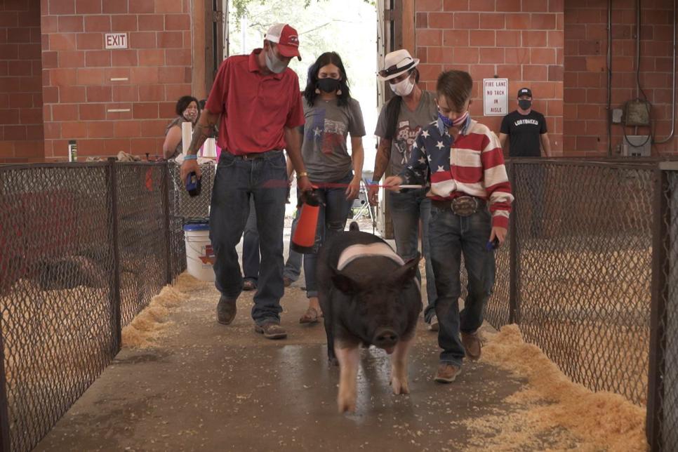 First Look at the New discovery+ Original Series, PIG ROYALTY streaming